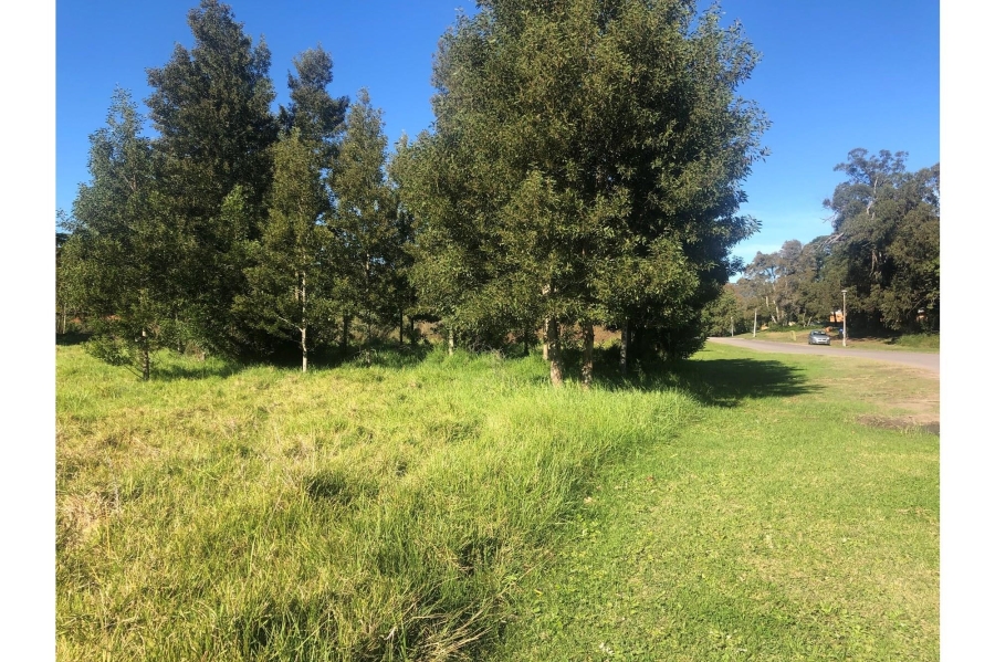 0 Bedroom Property for Sale in Old Place Western Cape